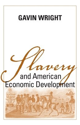 bokomslag Slavery and American Economic Development