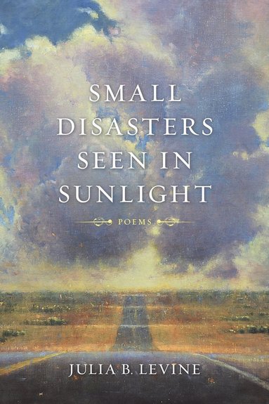 bokomslag Small Disasters Seen in Sunlight
