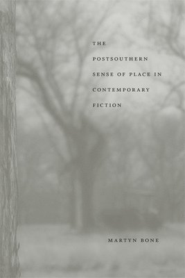 bokomslag The Postsouthern Sense of Place in Contemporary Fiction