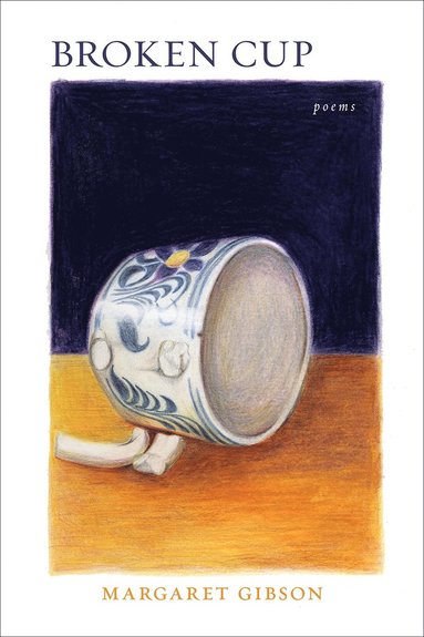 bokomslag Broken Cup