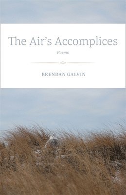 The Air's Accomplices 1