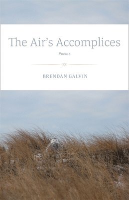 Air's Accomplices