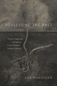 bokomslag Possessing the Past