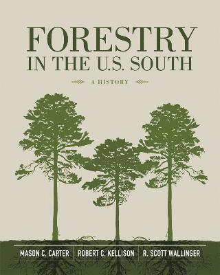 bokomslag Forestry in the U.S. South