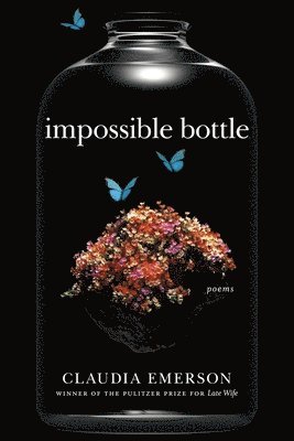 bokomslag Impossible Bottle
