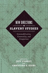bokomslag New Directions in Slavery Studies