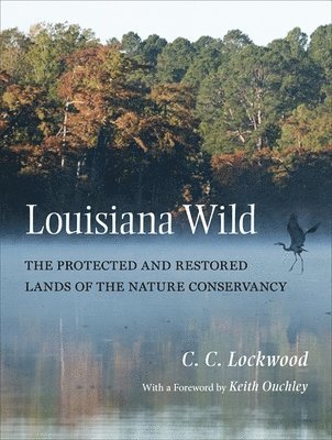 Louisiana Wild 1