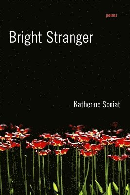 Bright Stranger 1