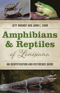 bokomslag Amphibians and Reptiles of Louisiana