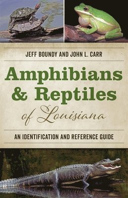 Amphibians and Reptiles of Louisiana 1