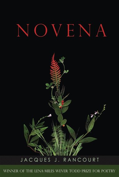 bokomslag Novena