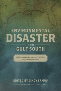 bokomslag Environmental Disaster in the Gulf South