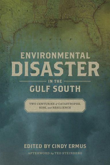 Cindy Ermus - Environmental Disaster in the Gulf South, Inbunden