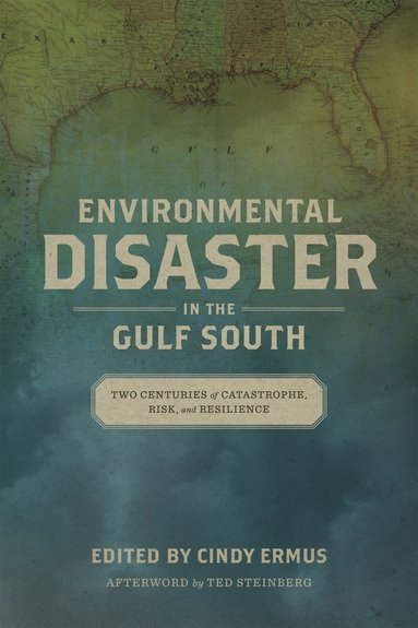 bokomslag Environmental Disaster in the Gulf South