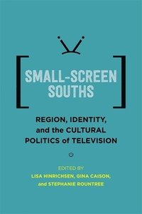 bokomslag Small-Screen Souths