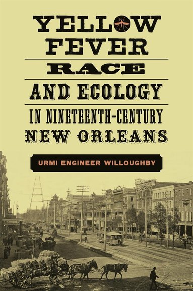 bokomslag Yellow Fever, Race, and Ecology in Nineteenth-Century New Orleans
