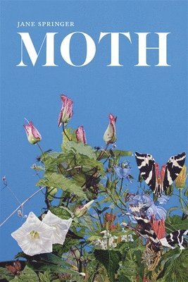 Moth 1