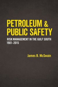 bokomslag Petroleum and Public Safety