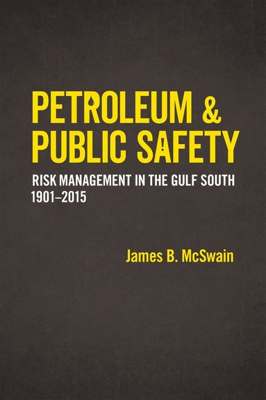 bokomslag Petroleum and Public Safety
