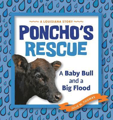 Poncho's Rescue 1