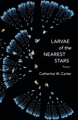 Larvae of the Nearest Stars 1