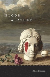 bokomslag Blood Weather