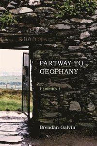 bokomslag Partway to Geophany