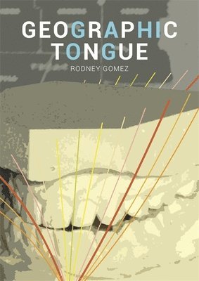 bokomslag Geographic Tongue