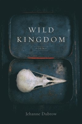 Wild Kingdom 1