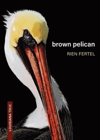 bokomslag Brown Pelican