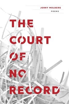 The Court of No Record 1