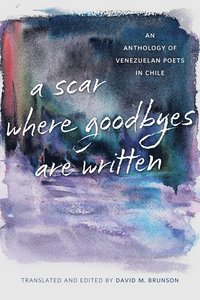 bokomslag Scar Where Goodbyes Are Written