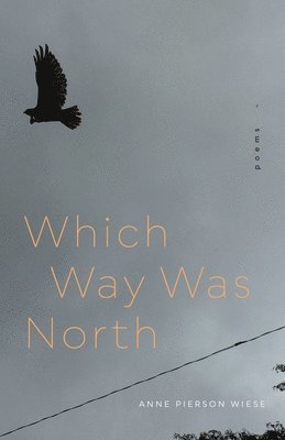 Anne Pierson Wiese - Which Way Was North, Häftad