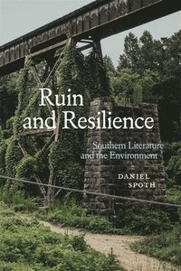 bokomslag Ruin and Resilience