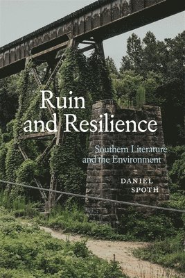Ruin and Resilience 1