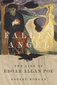 bokomslag Fallen Angel