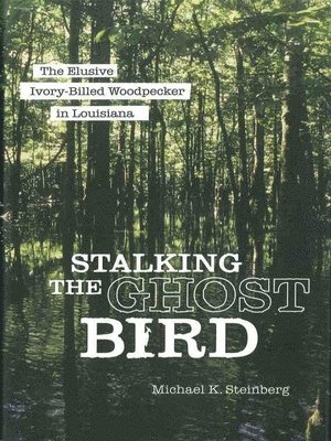 Stalking the Ghost Bird 1