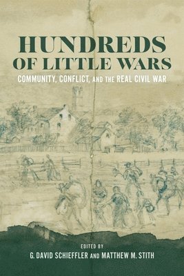 bokomslag Hundreds of Little Wars: Community, Conflict, and the Real Civil War