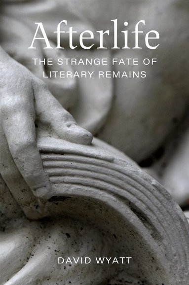 David Wyatt - Afterlife, Häftad