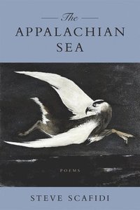 bokomslag Appalachian Sea