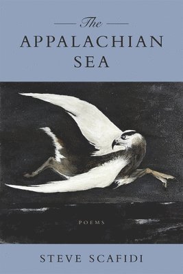 bokomslag Appalachian Sea