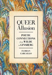 bokomslag Queer Allusion