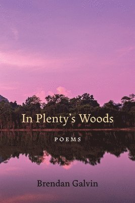 In Plenty's Woods 1