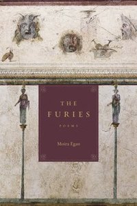 bokomslag Furies