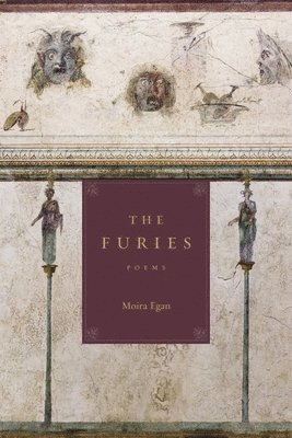 bokomslag Furies