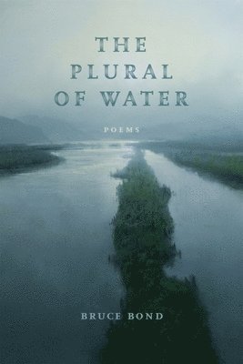 Plural of Water