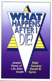 bokomslag What Happens After I Die? Jewish Views Of Life After Death