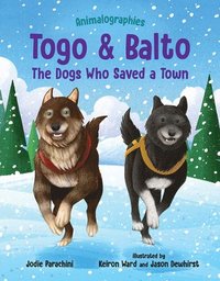 bokomslag Togo and Balto: The Dogs Who Saved a Town