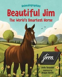 bokomslag Beautiful Jim