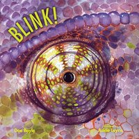 bokomslag BLINK